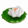 3 Boyutlu Tütsülük Lotus Çiçek, Yaprak Üstünde Nilüfer Çiçeği Silikon Kalıp K-617 - Görsel 4