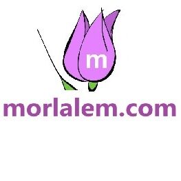 morlalem.com