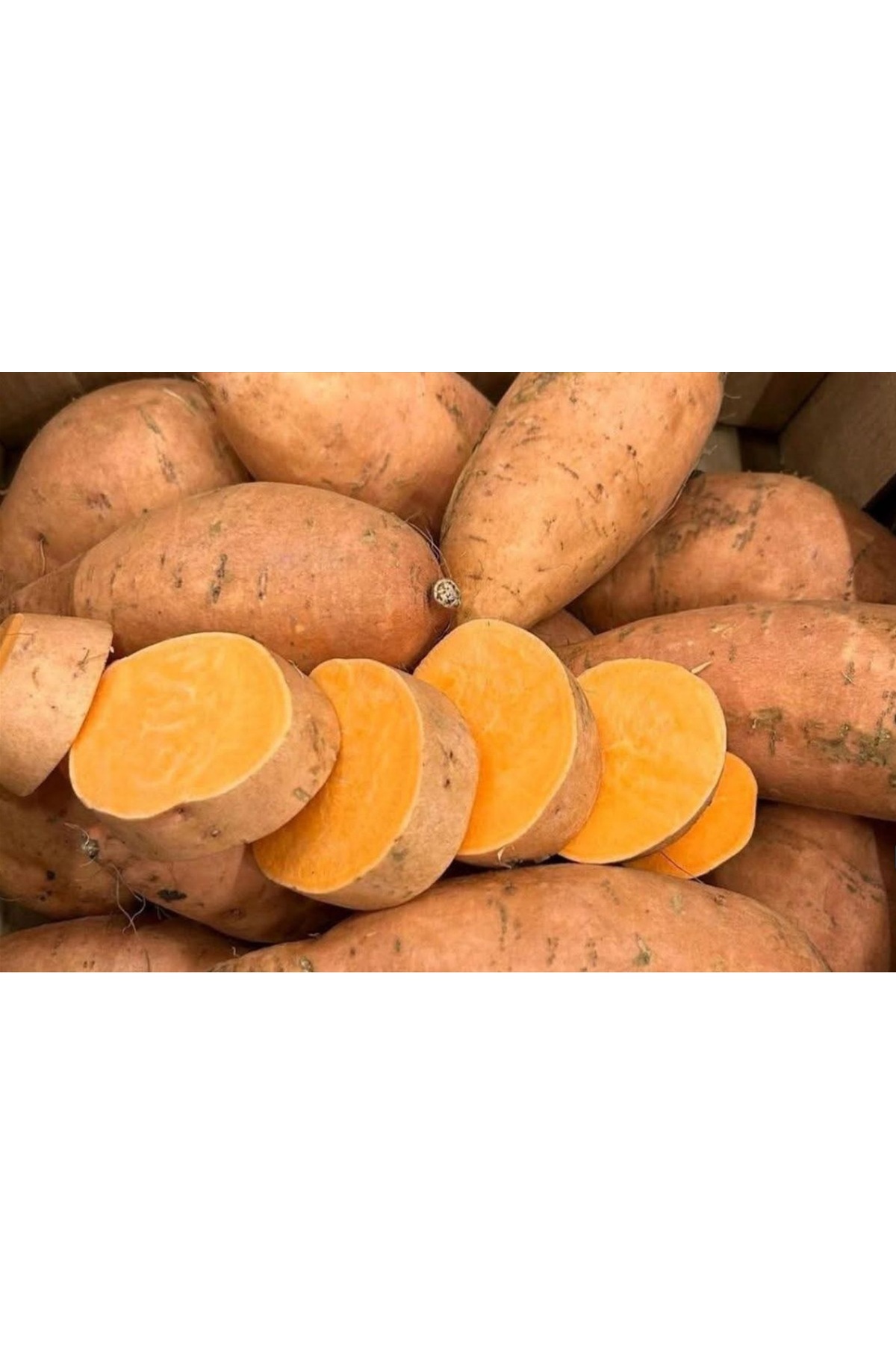 Turuncu Tatlı Patates Fidesi (1 Adet Fide), Erato Deep Orange Sweet Potatoes (Ipomoea batatas) - Görsel 6
